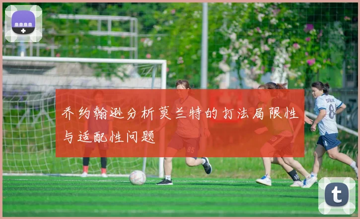 乔约翰逊分析莫兰特的打法局限性与适配性问题
