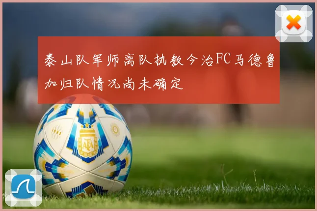 泰山队军师离队执教今治FC马德鲁加归队情况尚未确定