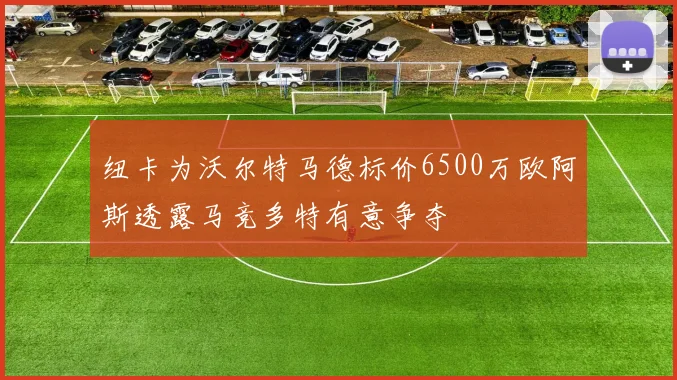 纽卡为沃尔特马德标价6500万欧阿斯透露马竞多特有意争夺