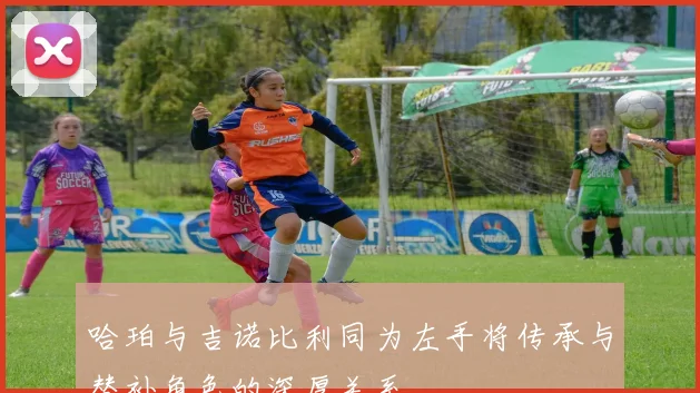 哈珀与吉诺比利同为左手将传承与替补角色的深厚关系